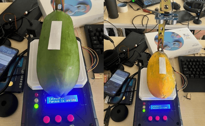 Papaya Fruit Ripeness Detection